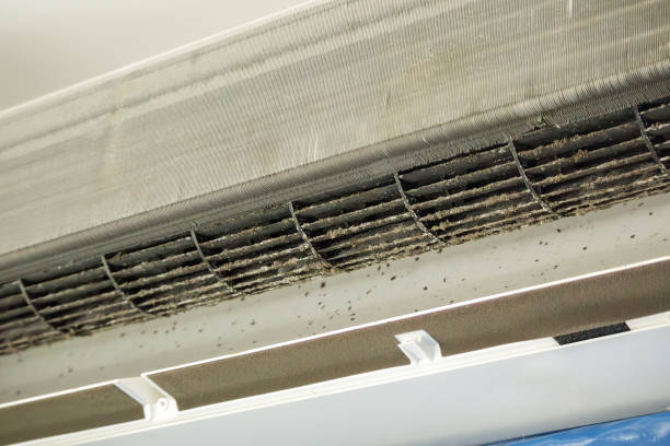 Best Best Air Duct Cleaning Company  in Lavaca, AR